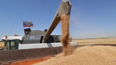 Photo of Экспорт российской продукции в недружественные страны могут запретить