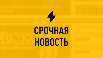 Photo of Самолёт из Петербурга готовится к экстренной посадке: что известно