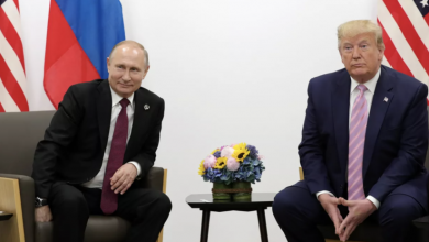 Photo of «Очень приятные заявления»: Трамп высоко оценил высказывания Путина о США