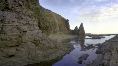 Photo of «Ещё за Аляску не рассчитались»: в России ответили на идею США о покупке Командорских островов