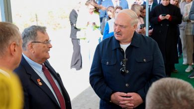 Photo of Лукашенко заявил «мужики, так дело не пойдет» из-за сорняков