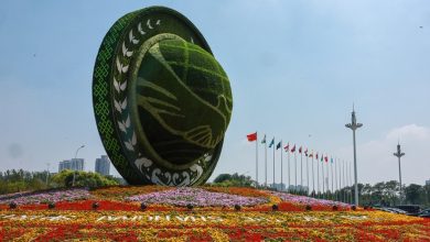 Photo of «Демонстрация единства» и «сигнал Трампу»: западные СМИ — о саммите ШОС