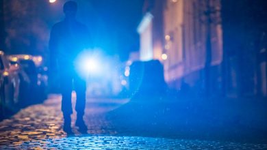 Photo of Путин поддержал идею добровольческих отрядов для защиты опасных объектов