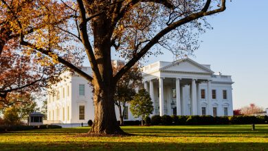 Photo of «Мне придётся поговорить об этом с Россией»: Трамп прокомментировал возможные поставки Киеву «Томагавков»