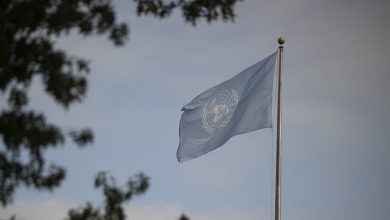 Photo of «Необходима глобальная реновация»: эксперты — о значении ООН и итогах её работы за 80 лет