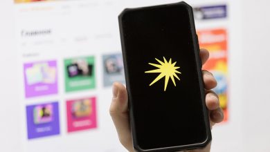 Photo of «Яндекс.Музыка» удалила песню Земфиры «Повесица» по требованию РКН