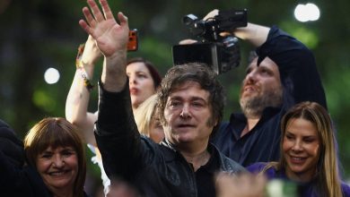 Photo of Почему партия Милея может проиграть на парламентских выборах