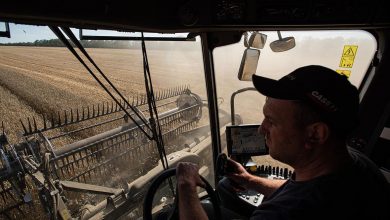 Photo of ЕС допустил меры против трех стран из-за ограничения украинского импорта