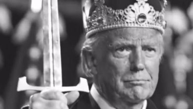 Photo of В Дублине начались акции из-за обвинений мигранта в насилии над ребенком