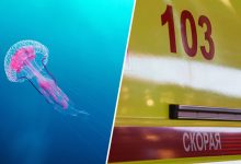 Photo of «Мы молились день и ночь»: бабушка погибшего от отравления ядом медузы в Малайзии мальчика рассказала о трагедии