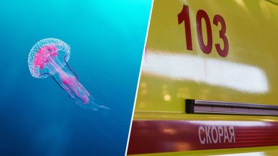 Photo of «Мы молились день и ночь»: бабушка погибшего от отравления ядом медузы в Малайзии мальчика рассказала о трагедии
