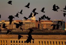 Photo of Как США хотят поставить под контроль тактическое ядерное оружие России