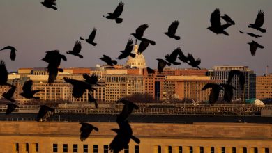 Photo of Как США хотят поставить под контроль тактическое ядерное оружие России