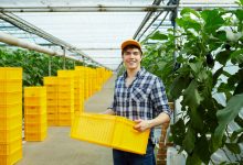 Photo of МВД Британии заявило, что нелегальная миграция разрывает страну на части