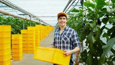 Photo of МВД Британии заявило, что нелегальная миграция разрывает страну на части