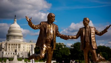 Photo of NYP сообщила, что Эпштейну предлагали свободу за показания на Трампа