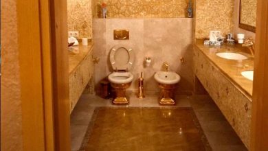 Photo of FT рассказала о влиянии скандала с золотым унитазом на Зеленского