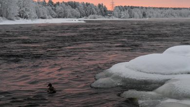 Photo of Россия прекратила 50-летнее соглашение с Финляндией по реке Вуокса