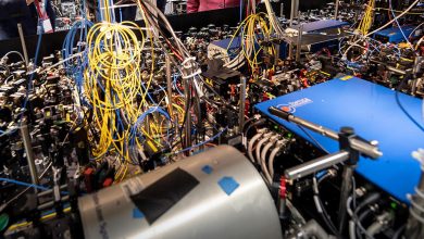 Photo of Saxo Bank предсказал «день Q», Британию в ЕС и «Оземпик» для котов