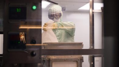 Photo of Здоровье без границ: как развивается экспорт медицинских товаров